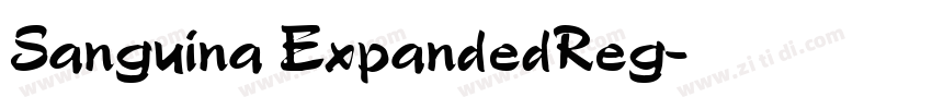 Sanguina ExpandedReg字体转换
